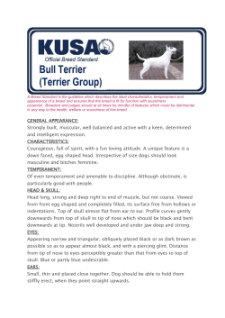 GENERAL APPEARANCE: Strongly built, muscular, well