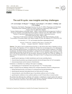 The soil N cycle: new insights and key challenges