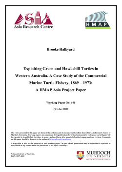 Exploiting Green and Hawksbill Turtles in Western Australia. A Case