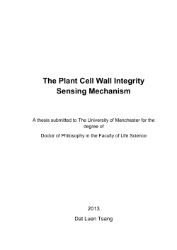 The Plant Cell Wall Integrity Sensing Mechanism