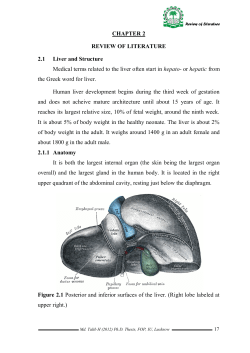 Review of literature