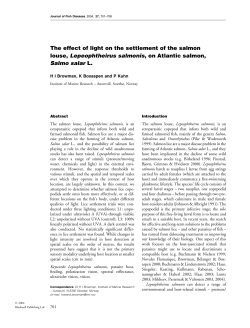 The effect of light on the settlement of the salmon louse