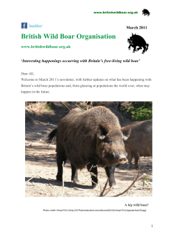 British Wild Boar Organisation