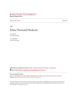 Feline Neonatal Medicine - Iowa State University Digital Repository