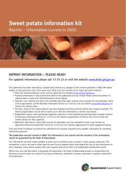Sweet potato information kit