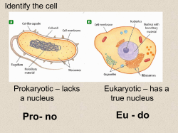 Pro - Net Start Class