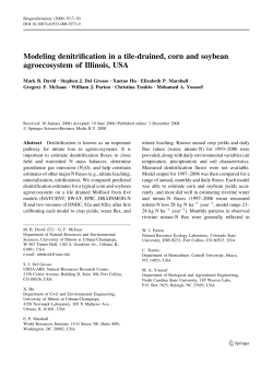 Modeling denitrification in a tile
