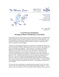 Local Research Institutions Working to Restore Florida