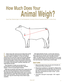 How Much Does Your Animal Weigh?