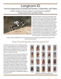 Longicorn ID - cerambycids . com