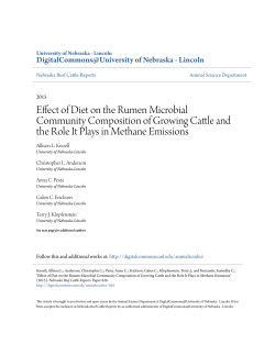 Effect of Diet on the Rumen Microbial Community Composition of