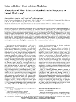 Alteration of Plant Primary Metabolism in