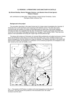 El Pedroso repo - University of Reading