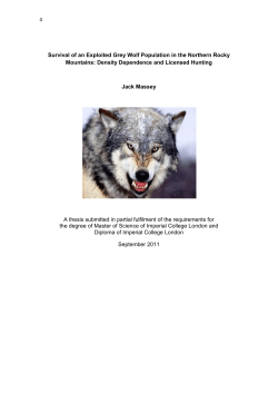 Survival of an Exploited Grey Wolf Population in the
