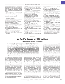 A Cell`s Sense of Direction