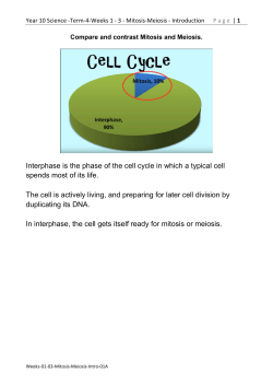 Interphase is the phase of the cell cycle in which a typical