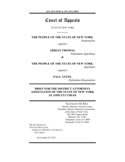 amicus brief - Simple Justice