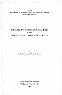 ECOLOGY OF WHITE AND RED PINE in the Great Lakes-St