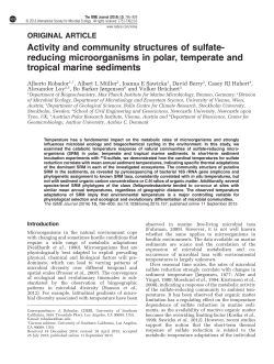 Activity and community structures of sulfate-reducing