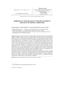 horizontal integration in the development strategy
