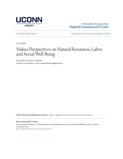 Nahua Perspectives on Natural Resources, Labor, and Social Well