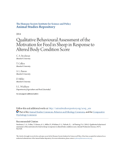 Qualitative Behavioural Assessment of the Motivation for Feed in