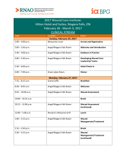 2017 Wound Care Institute: Hilton Hotel and Suites, Niagara Falls