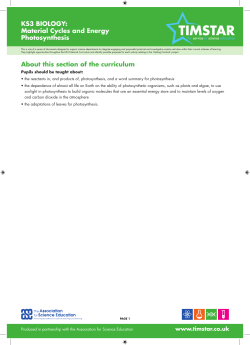 KS3 BIOLOGY: Material Cycles and Energy Photosynthesis About