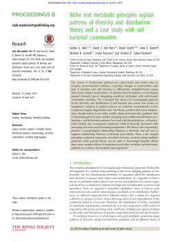 Niche and metabolic principles explain patterns of diversity and