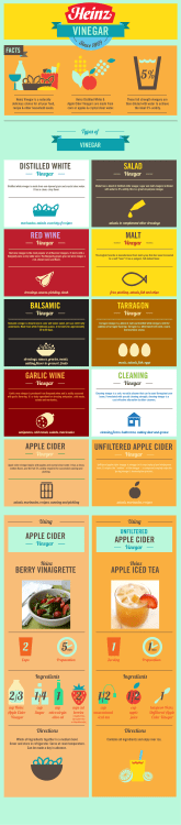 Heinz_Vinegar_InfographicV2 copy
