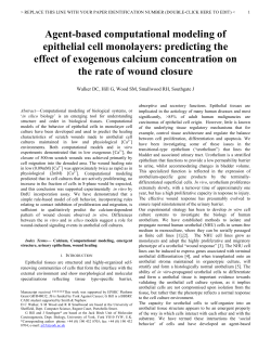 Agent-based computational modeling of epithelial cell monolayers
