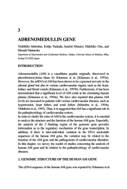 ADRENOMEDULLIN GENE