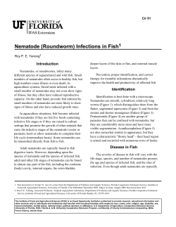 Nematode (Roundworm) Infections in Fish1
