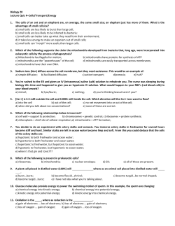 Biology 20 Lecture Quiz #&ndash;Cells/Transport/Energy 1. The cells of an