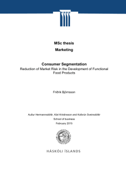MSc thesis Marketing Consumer Segmentation