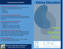How Kidneys Work - UNC Kidney Center