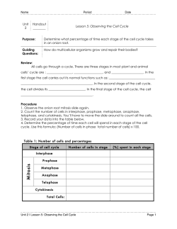 H52-Observing the Cell Cycle