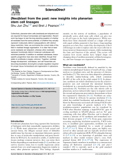 (Neo)blast from the past: new insights into planarian stem cell lineages