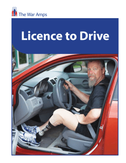 Licence to Drive