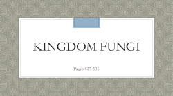 Kingdom Fungi