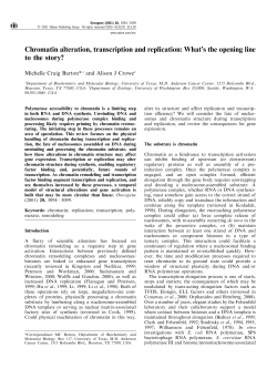 Chromatin alteration, transcription and replication: What`s