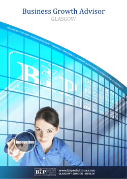 Business Growth Advisor