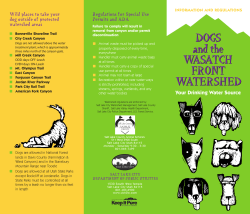Dogs and the Wasatch Front Watershed