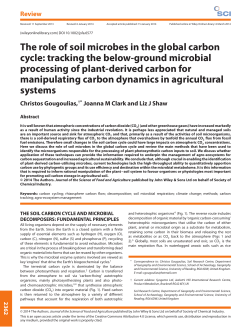 The role of soil microbes in the global carbon cycle: tracking the