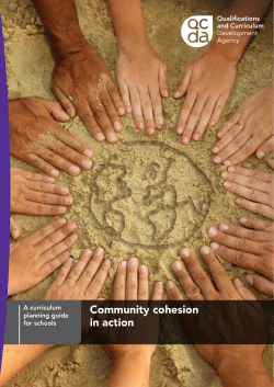 Community cohesion in action