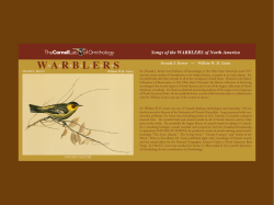 Songs of the WARBLERS of North America