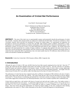 An Examination of Cricket Bat Performance