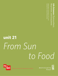 unit 21 From Sun to Food - Institute for School Partnership