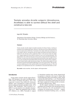 Protistology Testate amoeba Arcella vulgaris (Amoebozoa