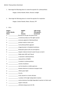 BIO101 Photosynthesis Worksheet 1. Rearrange the following